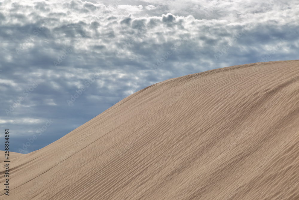 Naklejka premium The Imperial Sand Dunes, California