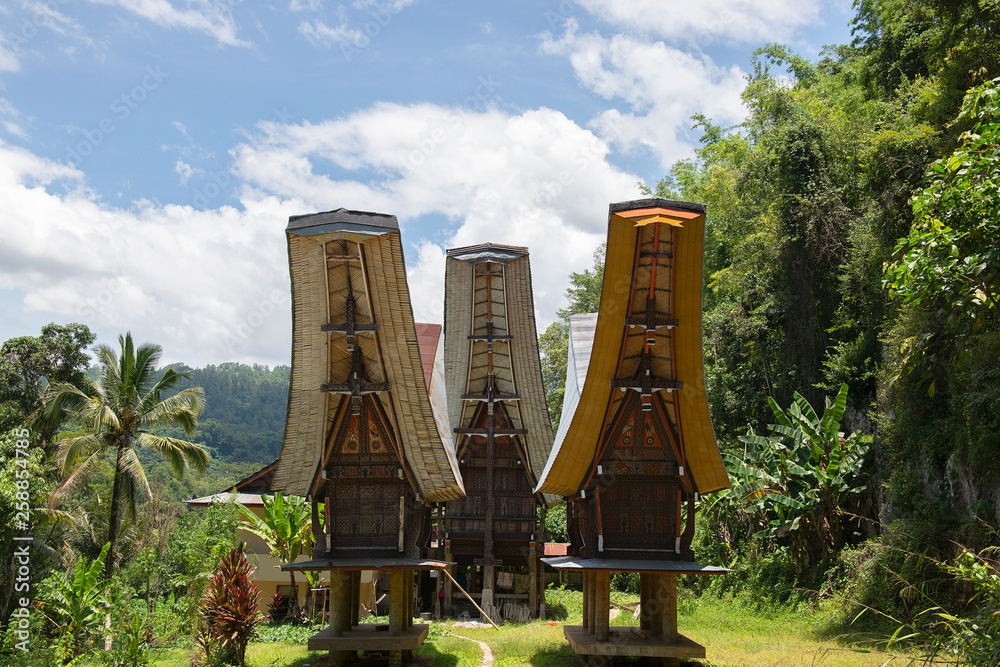 Torjan Home Tongkonan houses, traditional Torajan buildings, Tana Toraja is the ...
