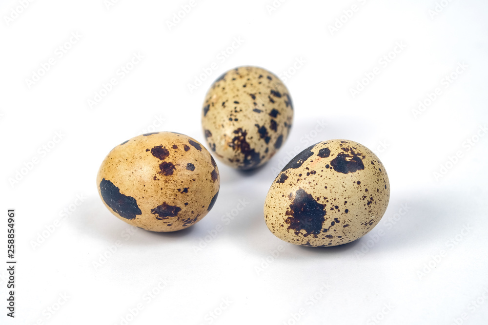 Fresh Quail eggs on background.Food and health concept. Fresh Quail eggs on background.Food and health concept.