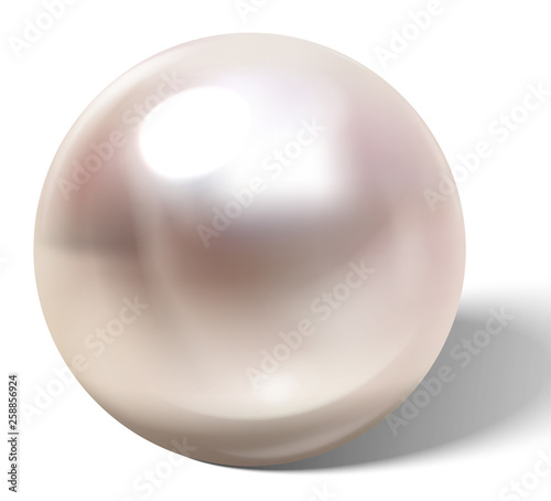 Beautiful realistic pearl.