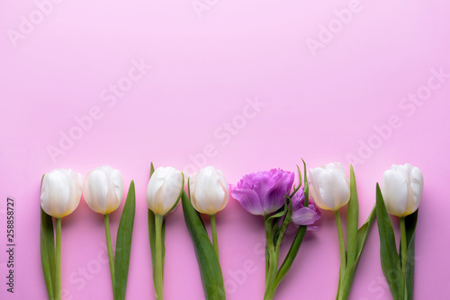 Lilac flower among white ones on color background. Concept of uniqueness photo