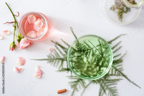Glassware with ingredients for making plant based pills on white table