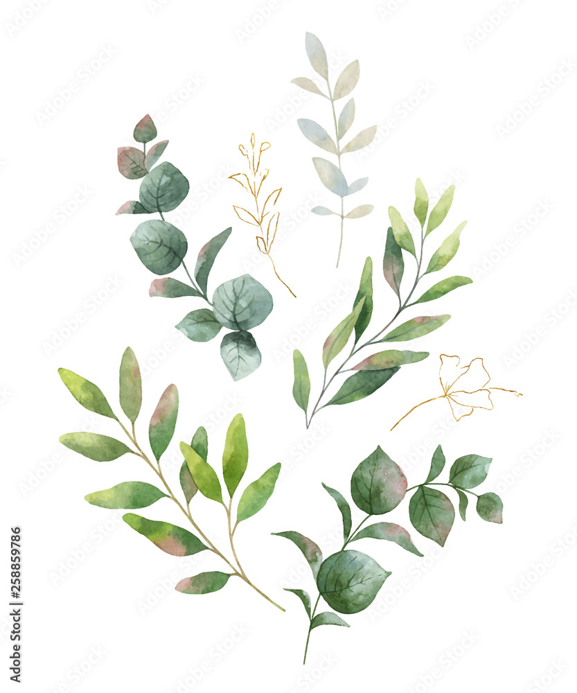 Obraz Akwarela wektor wieniec z zielonych liści eukaliptusa i kwiatów.