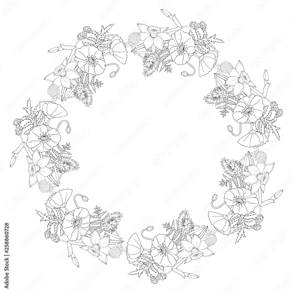 Floral frame with Poppy flowers and  narcissus, clover and cornflower on white background