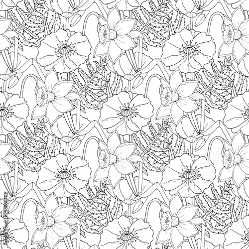 Poppy and narcissus flowers floral seamless background isolated on the white
