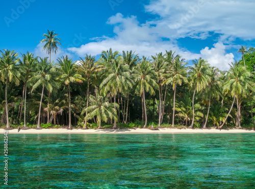Palm trees on the beach of a secluded tropical island