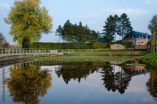 Trees and building reflected in a lake © Catalin