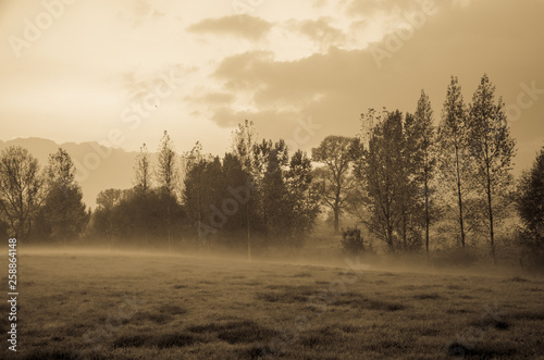 Foggy meadow on a cold autumn evening photo