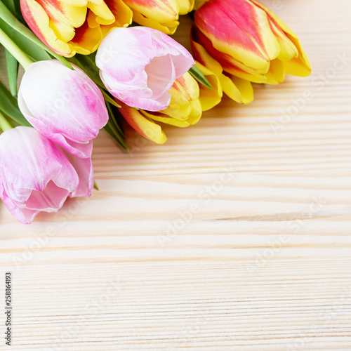 Fototapeta Naklejka Na Ścianę i Meble -  Red and pink tulips on wooden background closeup, copy space