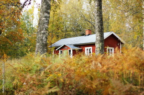 A red wooden house in the forest in autumn.  © kasanea