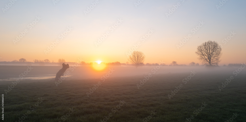 Obraz premium Landschap IJssel