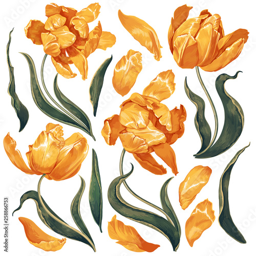 Set of floral elements with yellow tulips flowers and leaves. Hand drawn, vector botanical flora for decoration, wedding invitation, patterns, wallpapers, fabric, wrapping paper. Realistic style.