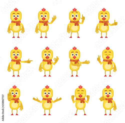 Fototapeta Naklejka Na Ścianę i Meble -  Set of cartoon chicken characters showing diverse hand gestures. Funny chicken pointing, greeting, showing thumb up, stop hand and other gestures. Simple vector illustration