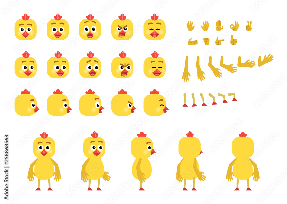 Fototapeta premium Cartoon chicken creation set. Various gestures, emotions, diverse poses, views. Create your own pose, animation. Flat style vector illustration