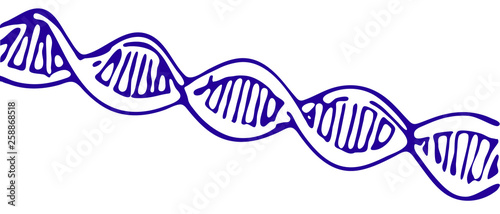 DNA spiral. Isolated on whi...