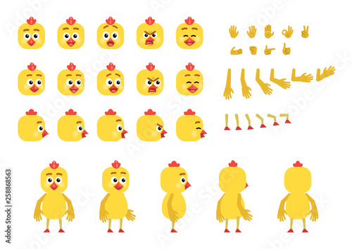 Cartoon chicken creation set. Various gestures, emotions, diverse poses, views. Create your own pose, animation. Flat style vector illustration