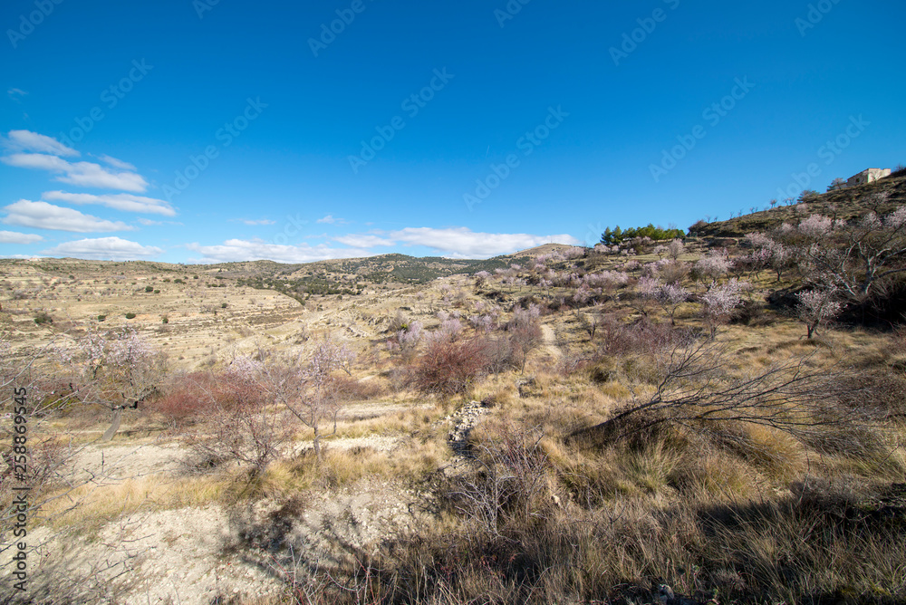 Mountainous area around the town of Morella