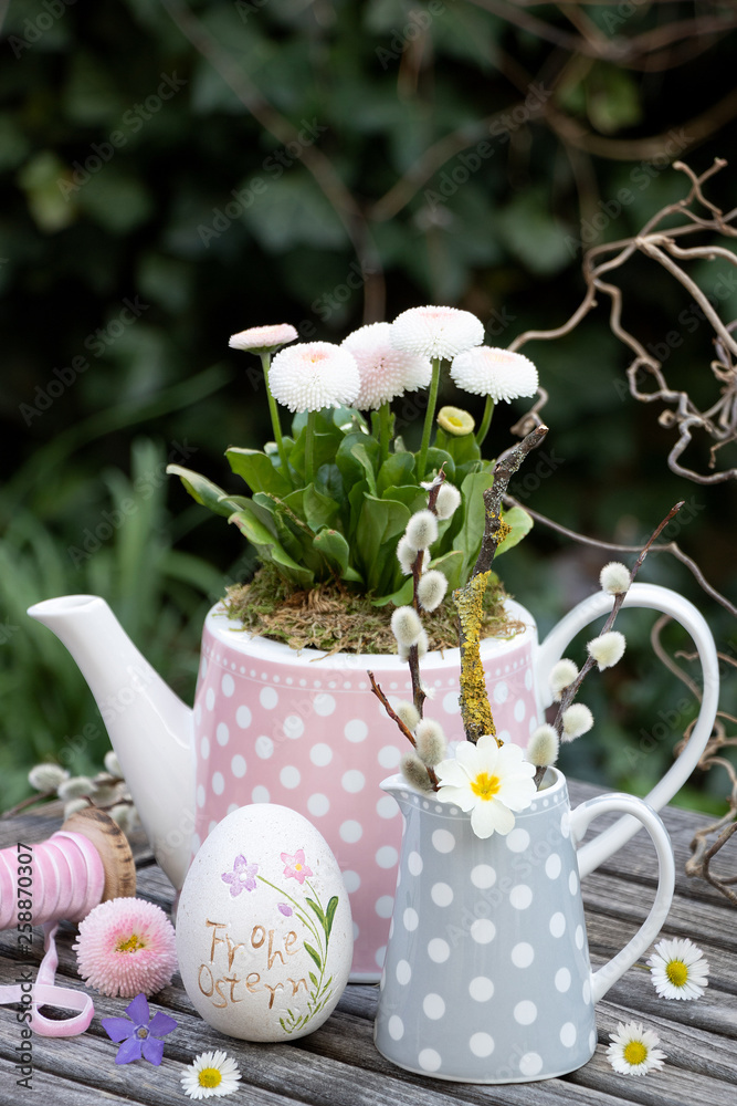 Dekoration mit Bellis perennis in der Teekanne Stock-Foto | Adobe Stock