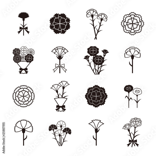 Carnation icon set