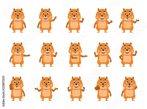 Set of cartoon hamster characters showing various hand gestures. Funny hamster pointing, greeting, waving, showing thumb up, victory, stop sign and other hand gestures. Flat style vector illustration