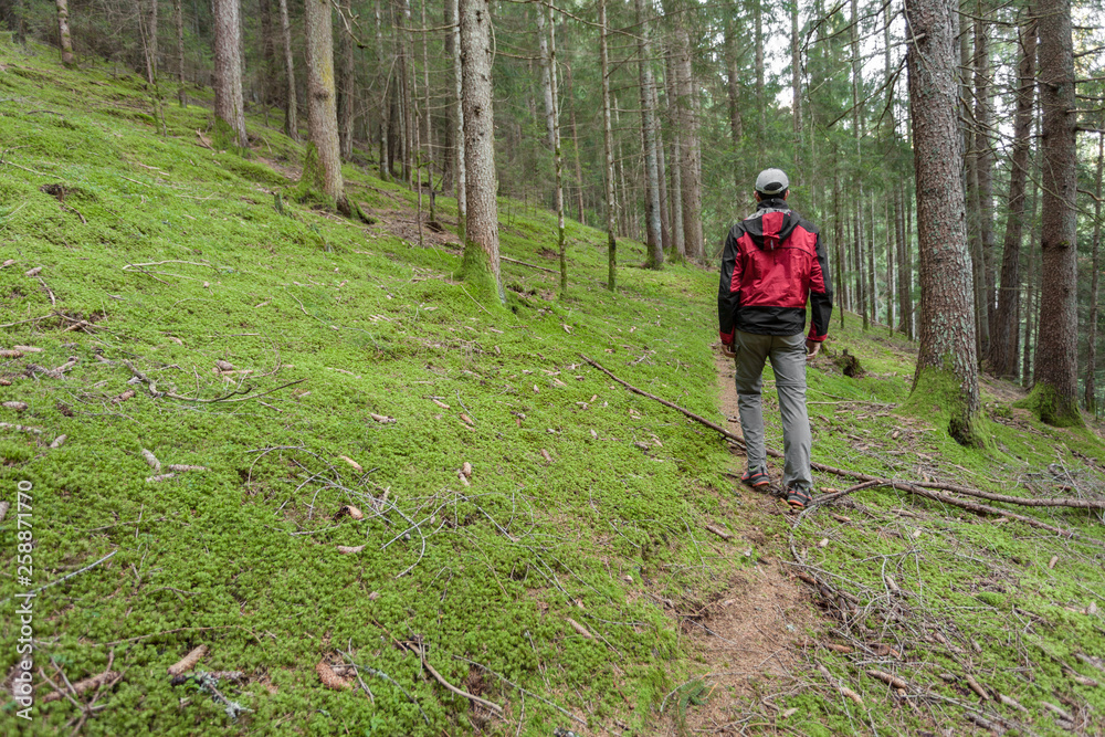 Obraz premium A trekker walking solo among the forest in a cloudy day