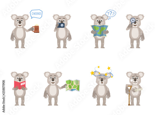 Set of cartoon koala characters posing in different situations. Cheerful koala holding mug of beer, map, photo camera, magnifier, reading a book, injured, feeling dizzy. Flat vector illustration