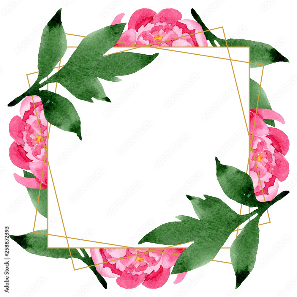 Pink peony floral botanical flowers. Watercolor background illustration ...