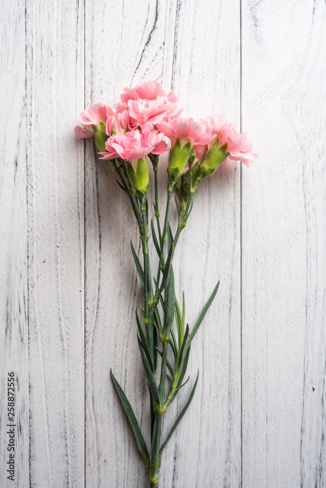 top view of carnation on white wooden background top view of carnation on white wooden background