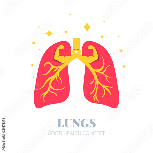 Strong healthy lungs cartoon character showing muscles. Human body organs anatomy sign. Medical internal organ symbol. Vector illustration.