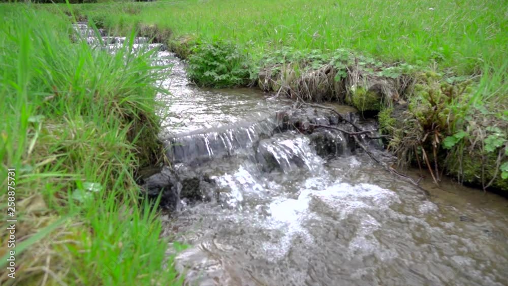 spring beautiful nature, stepped stream of fresh clean water flows between green grass in Slow motion spring beautiful nature, stepped stream of fresh clean water flows between green grass in Slow motion