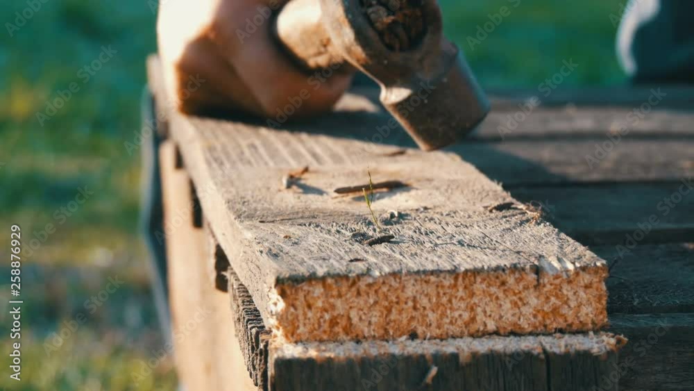 Male carpenter hammers iron nail into wooden plank Male carpenter hammers iron nail into wooden plank