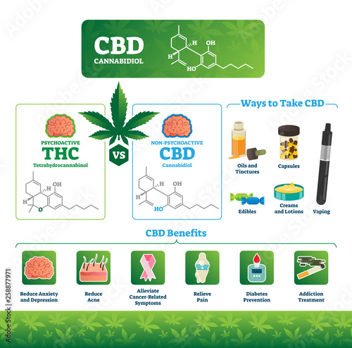 CBD vector illustration. Labeled medical THC cannabis benefits infographics