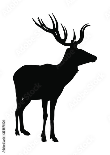 Deer vector silhouette illustration isolated on white background. Reindeer, proud Noble Deer male in forest or zoo. Powerful buck with huge neck and antlers standing. Red deer.
