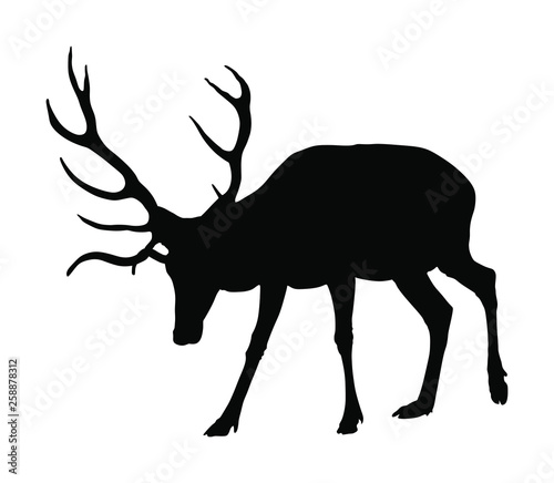 Deer vector silhouette isolated on white background. Reindeer, proud Noble Deer male in forest or zoo. Powerful buck with huge neck and antlers standing. Red deer grazing grass. 
