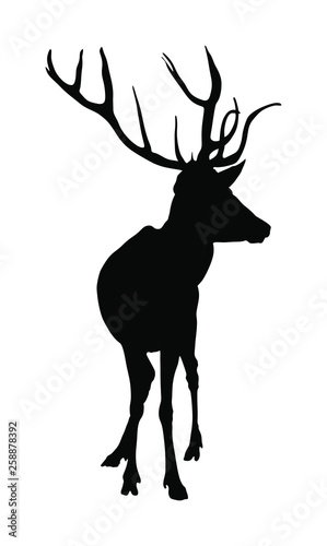 Deer vector silhouette illustration isolated on white background. Reindeer, proud Noble Deer male in forest or zoo. Powerful buck with huge neck and antlers standing. Red deer.
