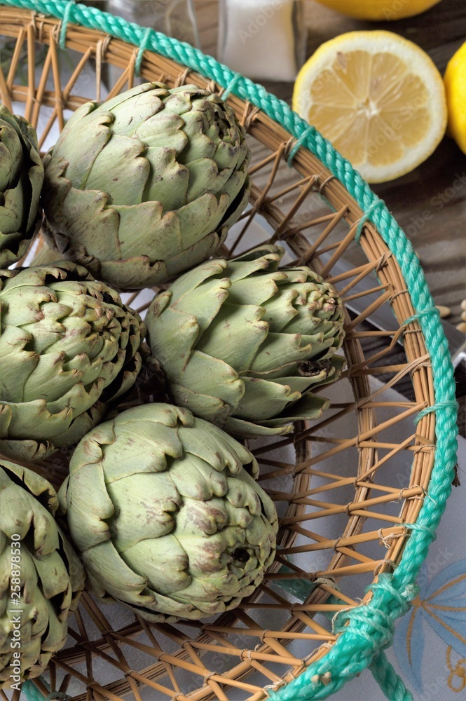 Fototapeta premium artichoke