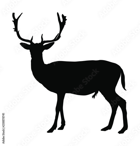 Deer vector silhouette isolated on white background. Reindeer, proud Noble Deer male in forest or zoo. Powerful buck with huge neck and antlers standing. Red deer grazing grass. 