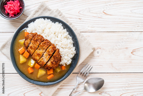 Crispy fried pork cutlet with curry and rice photo