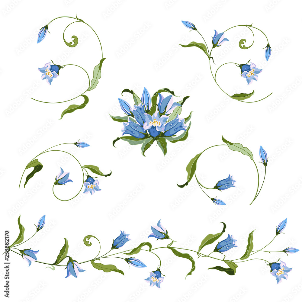 Collection of hand drawn blue bell flower, composition