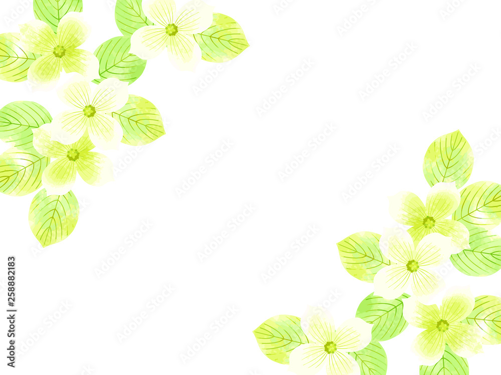 ハナミズキの背景イラスト 水彩風 Stock Vector Adobe Stock