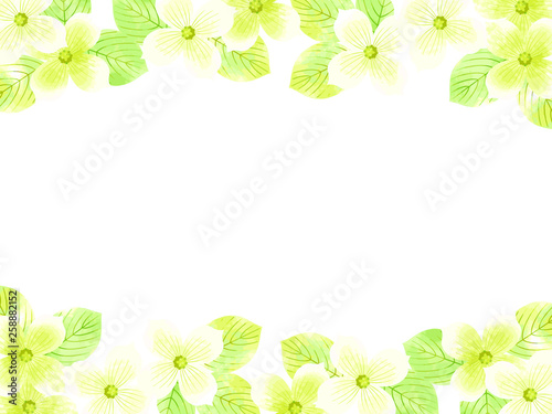 ハナミズキの背景イラスト 水彩風 Stock Vector Adobe Stock