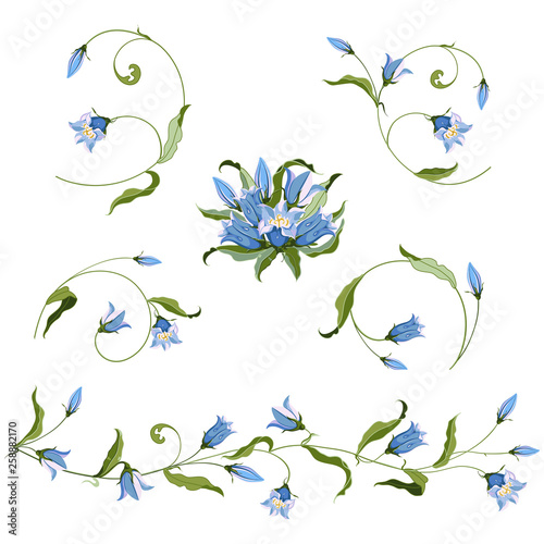 Collection of hand drawn blue bell flower  composition