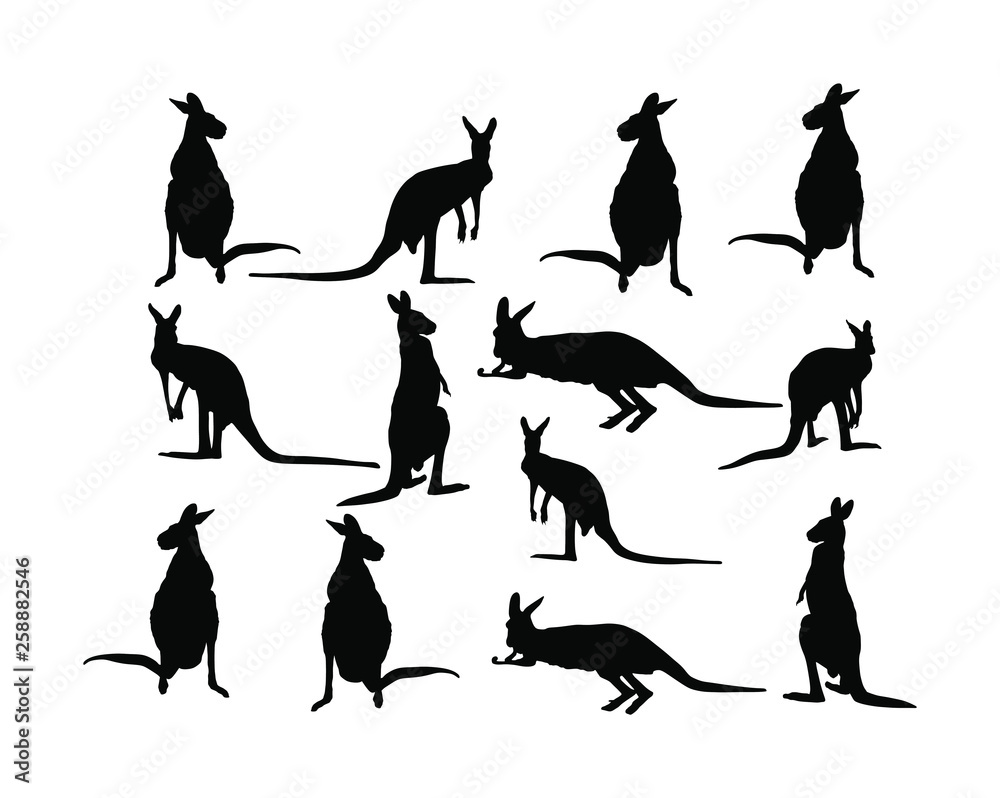 Kangaroo vector silhouette illustration isolated on white background. Australian animal portrait. Tourist symbol souvenir. Fauna best jumper. Zoo attraction.