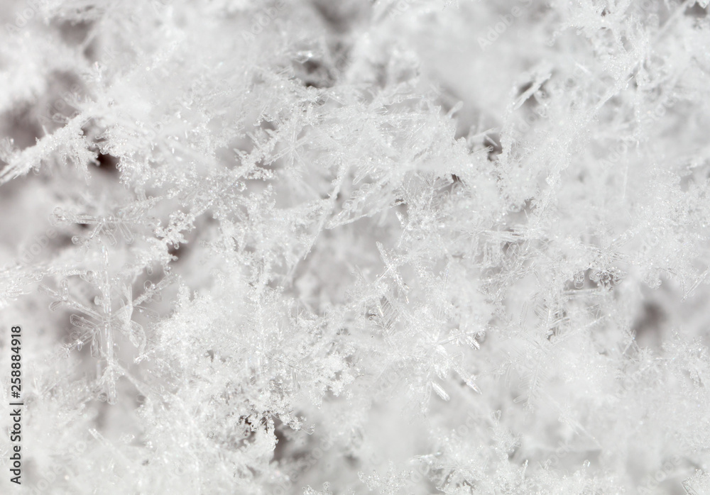 Fototapeta premium White snowflakes on nature as a background