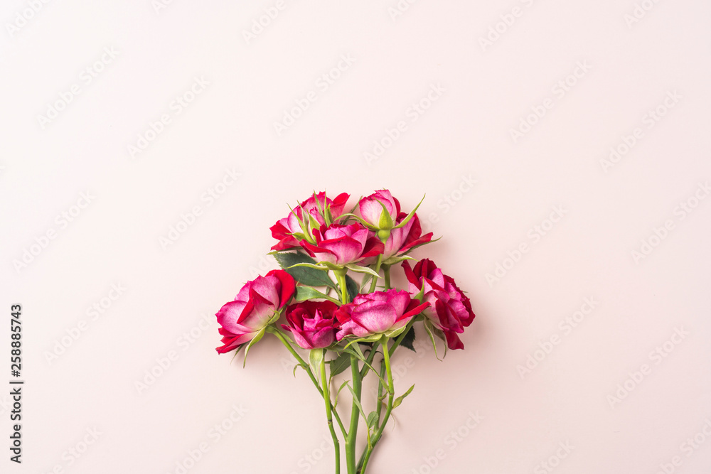 top view of red rose for mother & valentine day top view of red rose for mother & valentine day