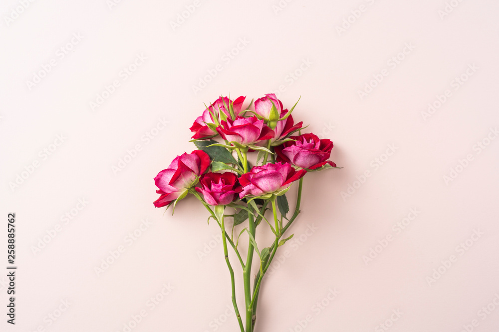 Fototapeta premium top view of red rose for mother & valentine day