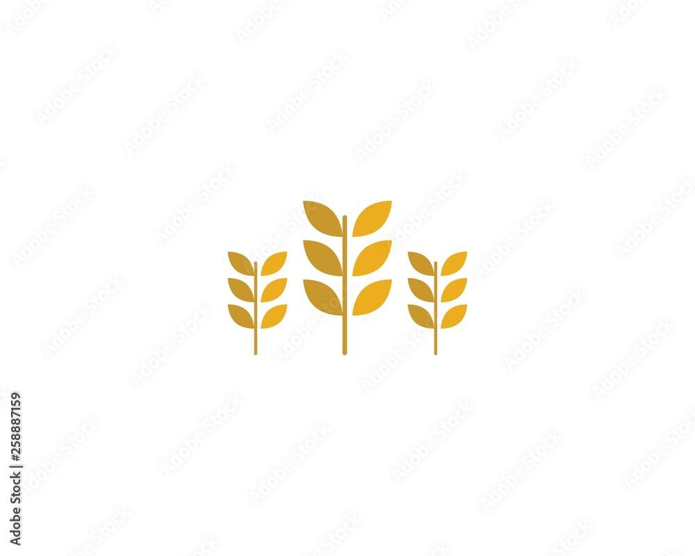Obraz premium Wheat vector icon illustration