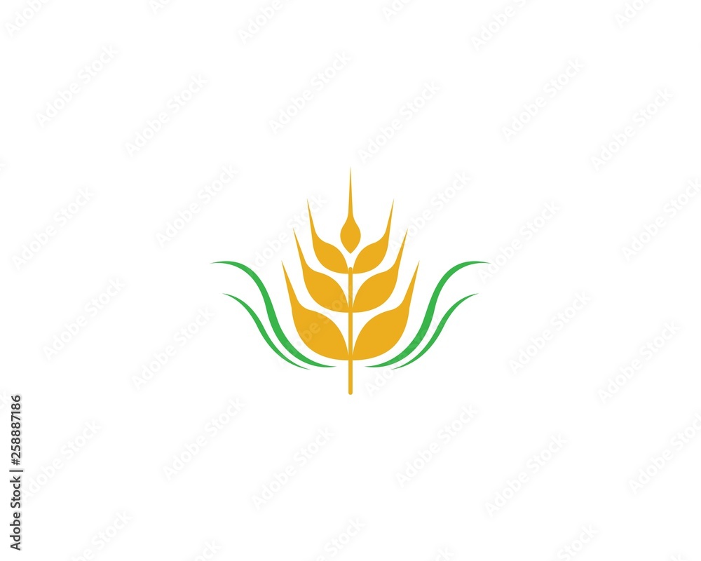 Wheat vector icon illustration Wheat vector icon illustration
