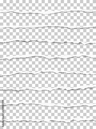 Oblong torn transparent paper strips placed one under another with soft shadow. Vector paper template.
