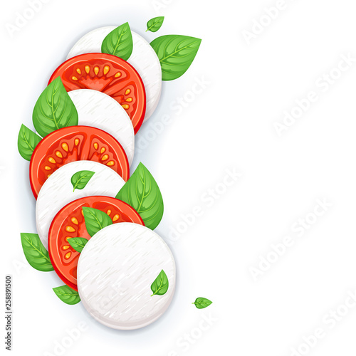 Caprese salad vector - mozzarella, tomato and basil leaves.